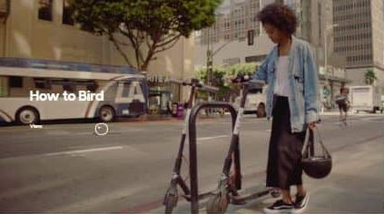 Bird Scooters